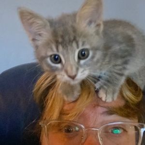 Meet your Posher, Lea